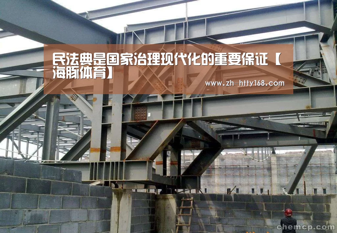 民法典是国家治理现代化的重要保证【海豚体育】(图2) 海豚体育