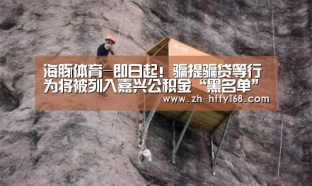 海豚体育