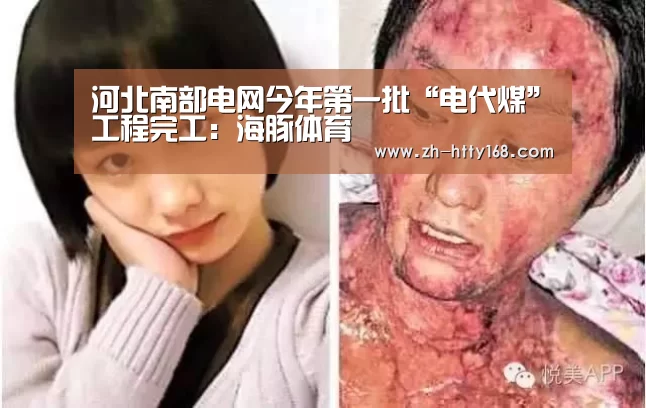 海豚体育