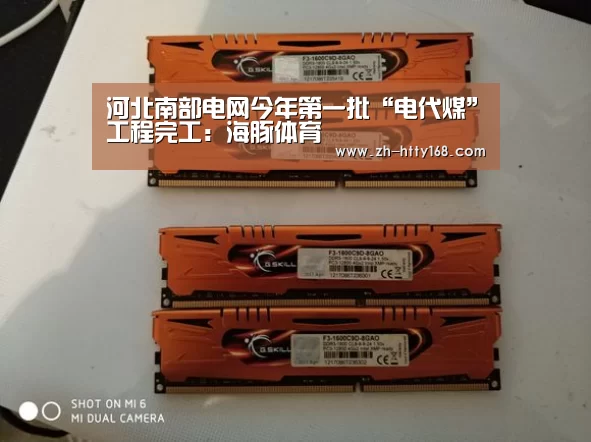 海豚体育