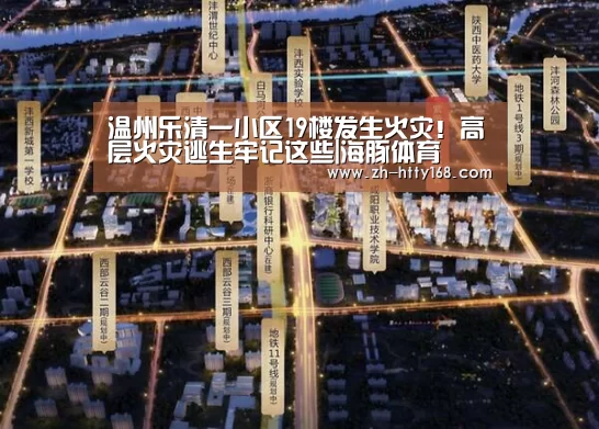 海豚体育