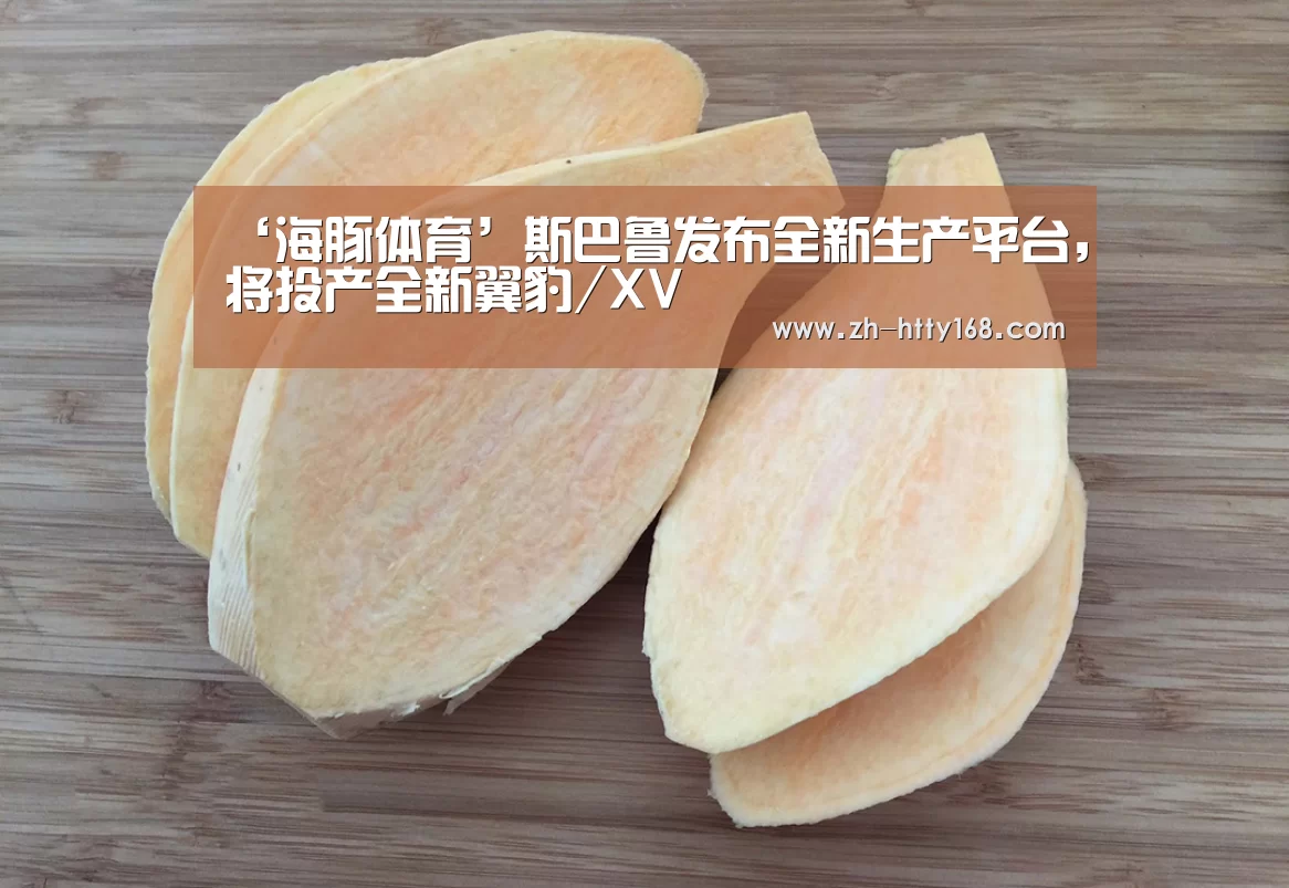 海豚体育